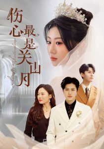 伤心最是关山月(全集)