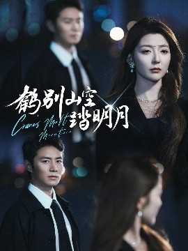 鹤别山空踏明月(全集)