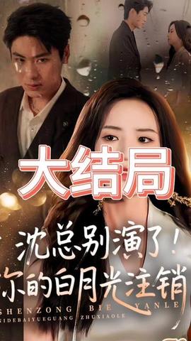 沈总别演了你的白月光注销了(全集)