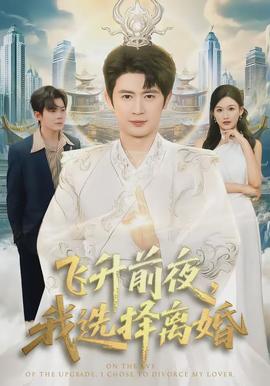 飞升前夜，我选择离婚(全集)